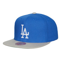 Adult Men's Los Angeles Dodgers Mitchell & Ness Cooperstown Collection Evergreen Snapback Hat - Royal