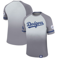 Adult Men's Los Angeles Dodgers Legend Raglan baseball T-shirt - Platinum